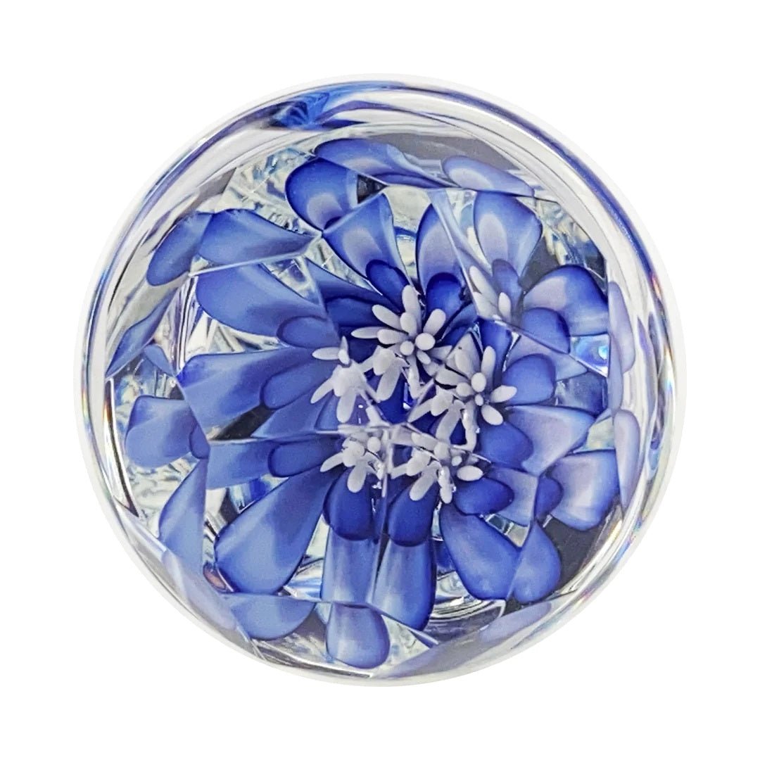 Crystal Delights Faceted Implosion Twist Glass Dildo viewed up close on a plain white background showcasing its implosion flower. Available at SugarX in the Dildo section of the Sex Toys collection.