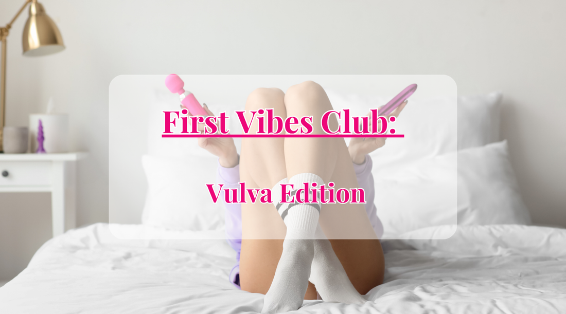 Vibrators for Beginner Blog Post at SugarX