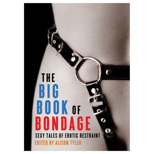 Big Book of Bondage Books