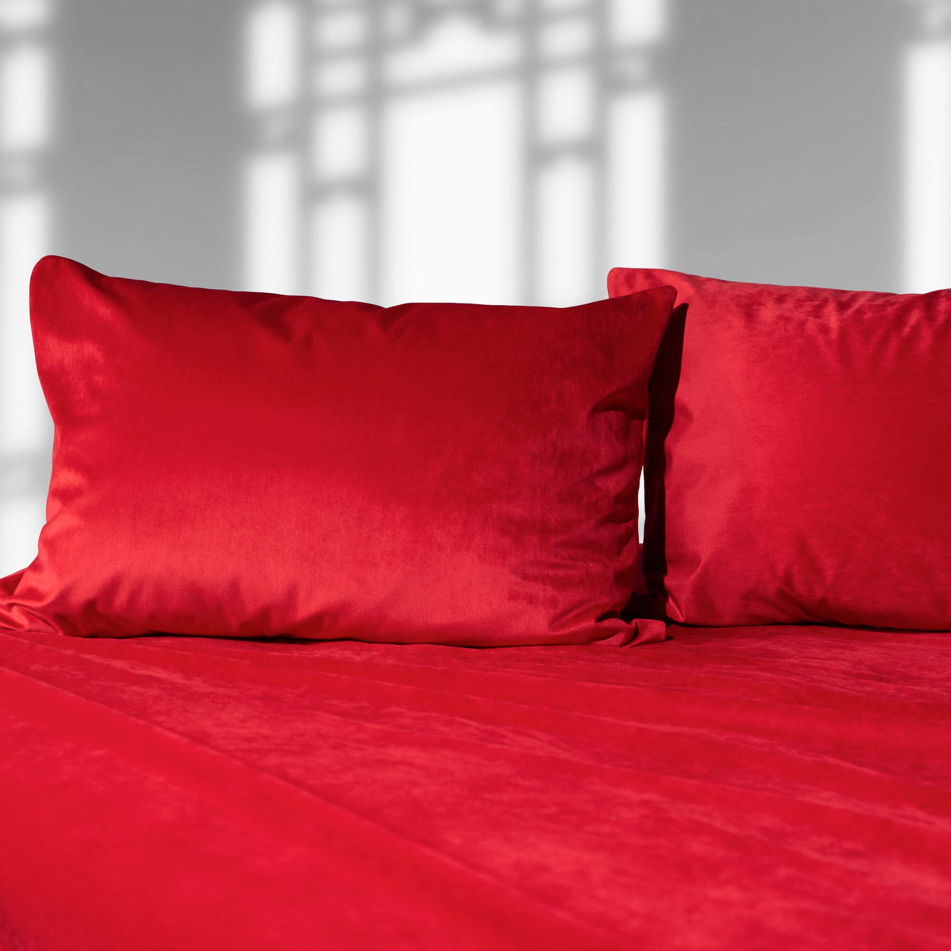 Liberator Liquid Velvet Sheet and Pillow Covers Throws